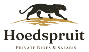 Safari Hoedspruit